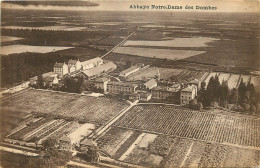 01 - ABBAYE NOTRE DAME DES DOMBES - Unclassified