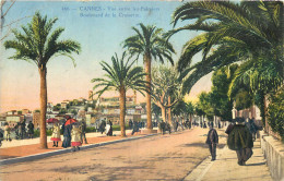 06 - CANNES - VUE ENTRE LES PALMIERS BOULEVARD DE LA CROISETTE   - Cannes