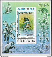 1976 Grenada Belted Kingfisher Bird 1MS MNH SG N. 768 - Sonstige & Ohne Zuordnung