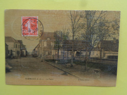 41 - Loir Et Cher - Dammarie - La Place - Carte Toilée Couleurs  - Réf.77A - - Other & Unclassified