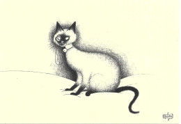 Dessin D'Albert DUBOUT  N° D 64 - CHAT - Dubout