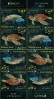 Azerbaijan 2024 CEPT EUROPA EUROPE Underwater Fauna & Flora Full Booklet Without Cover 8 Stamps - Azerbaïdjan