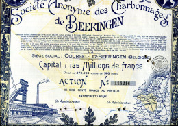 CHARBONNAGES De BEERINGEN; Action - Miniere