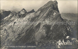 11669924 Tierwies Mit Grenzkopf Silberplatte Tierwies - Autres & Non Classés