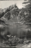 11669742 Seealpsee Mit Rossmad Seealpsee - Autres & Non Classés