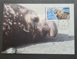 TAAF,  Timbre Numéro 511 Oblitéré De Kerguelen Le 1/1/2008. - Storia Postale