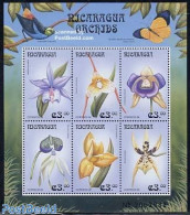 Nicaragua 1999 Orchids 6v M/s, Barkeria Spektabilis, Mint NH, Nature - Flowers & Plants - Orchids - Nicaragua