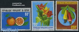 Benin 1990 Fruits & Flowers 3v, Mint NH, Nature - Flowers & Plants - Fruit - Ongebruikt
