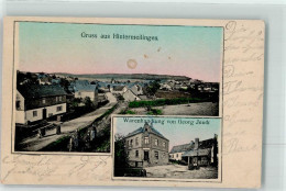 13495807 - Hintermeilingen - Altri & Non Classificati