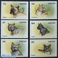 Lesotho 1998 Cats 6v, Mint NH, Nature - Cats - Lesotho (1966-...)