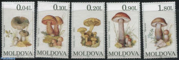Moldova 1995 Mushrooms 5v, Mint NH, Nature - Mushrooms - Pilze