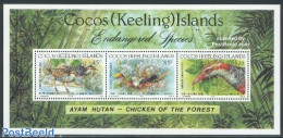 Cocos Islands 1992 Birds S/s, Mint NH, Nature - Birds - World Wildlife Fund (WWF) - Cocos (Keeling) Islands