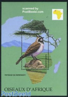 Central Africa 1999 African Bird S/s, Eremophila Alpestris, Mint NH, Nature - Various - Birds - Maps - Geografía