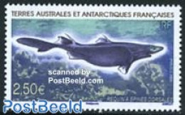 French Antarctic Territory 2009 Shark 1v, Mint NH, Nature - Fish - Neufs