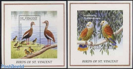 Saint Vincent 1996 Birds 2 S/s, Mint NH, Nature - Birds - Parrots - St.Vincent (1979-...)