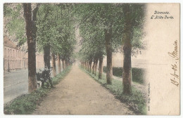 Diksmuide Dixmude Oude Postkaart Carte Postale CPA 1906 L'Allée Verte édit.Eug. Van Cuyck - Diksmuide