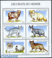 Comoros 1998 Cats 6v M/s, Mint NH, Nature - Cats - Isole Comore (1975-...)