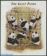 Guyana 1998 Giant Panda 6v M/s, Mint NH, Nature - Animals (others & Mixed) - Pandas - Guiana (1966-...)