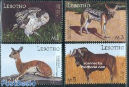 Lesotho 2001 Animals 4v, Mint NH, Nature - Animals (others & Mixed) - Owls - Lesotho (1966-...)