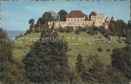11667918 Lenzburg Schloss Lenzburg - Autres & Non Classés