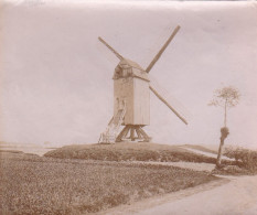 MOLEN, MOULIN, MILL, MÜHLE BOSSUYT BOSSUIT 1912, Kleine Foto Van 8.50 X 7cm - Avelgem