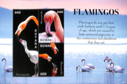 Guyana 2020 Flamingos 3v M/s, Mint NH, Nature - Birds - Guyana (1966-...)