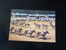 CARROUSEL DE SAUMUR    LES LANCIERS - Saumur