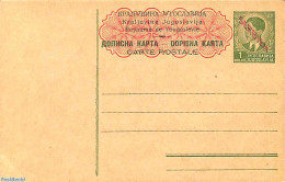 Serbia 1941 Postcard 1d, Unused Postal Stationary - Servië