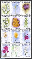 Suriname, Republic 2021 Flowers 12v, Sheetlet, Mint NH, Nature - Flowers & Plants - Suriname