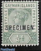 Cayman Islands 1901 1/2d, Unused, SPECIMEN, Unused (hinged) - Caimán (Islas)