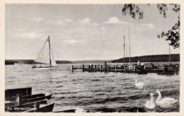 Am Werbelinsee - Sehgelboot,Steg - Eberswalde