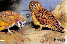 Guinea Bissau 2001 Owls, Rotary S/s, Mint NH, Nature - Various - Birds - Owls - Rotary - Rotary Club