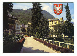 BRIDES-LES-BAINS - Pont Chamberlin Sur Le Doron Et Parc Thermal - Brides Les Bains