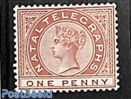 Natal 1881 Telegraph 1d, Stamp Out Of Set, Unused (hinged) - Natal (1857-1909)