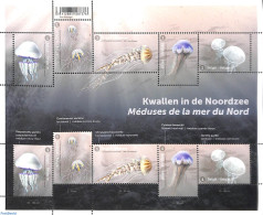 Belgium 2021 Jellyfish From The Northsea M/s, Mint NH - Neufs