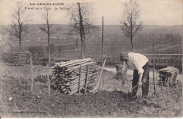 CPA  LA CHAMPAGNE - Travail De La Vigne - Le Taillage - Autres & Non Classés