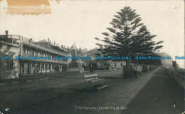 R032410 The Parade Napier F. G. R. Frank Duncan. RP. B. Hopkins - Welt