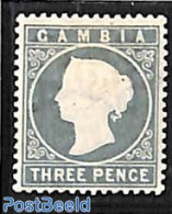 Gambia 1886 3d, WM Crown-CA, Stamp Out Of Set, Unused (hinged) - Gambia (...-1964)