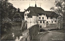 11667554 Hallwil Schloss Hallwil Hallwil - Other & Unclassified