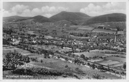 Siebeldingen - Panorama - Landau