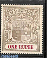 Mauritius 1902 1R, Stamp Out Of Set, Unused (hinged) - Maurice (1968-...)