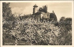 11667531 Birseck Schloss Birseck Ermitage Arlesheim Arlesheim - Andere & Zonder Classificatie