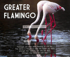 Nevis 2021 Greater Flamingo S/s, Mint NH, Nature - Birds - St.Kitts Und Nevis ( 1983-...)