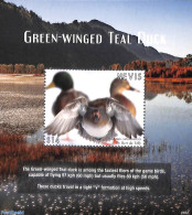 Nevis 2021 Green Winged Teal Duck S/s, Mint NH, Nature - Birds - Ducks - St.Kitts-et-Nevis ( 1983-...)