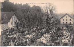 Métier- Maquignons Marché Aux Bestiaux Boeufs Champ De Foire à MAICHE (25 ) Cpa - Sonstige & Ohne Zuordnung