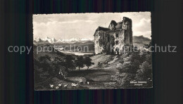 11667437 Habsburg Schloss Habsburg Habsburg - Otros & Sin Clasificación