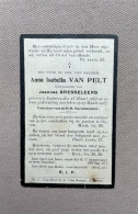 VAN PELT Anna Isabella °EKEREN 1853 +EKEREN 1917 - BRESSELEERS - Obituary Notices
