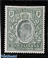 British Somalia 1904 1R, Stamp Out Of Set, Unused (hinged) - Somalilandia (Protectorado ...-1959)