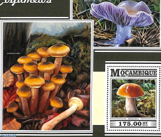 Mozambique 2015 Mushrooms S/s, Mint NH, Nature - Mushrooms - Paddestoelen