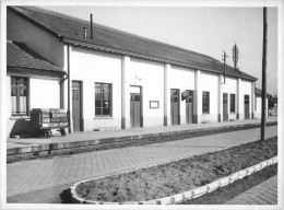 Grande Photo SNCF Gare De Boulogne Reconstruite Après Seconde Guerre Mondiale WW2 24x18 Cm - Eisenbahnen